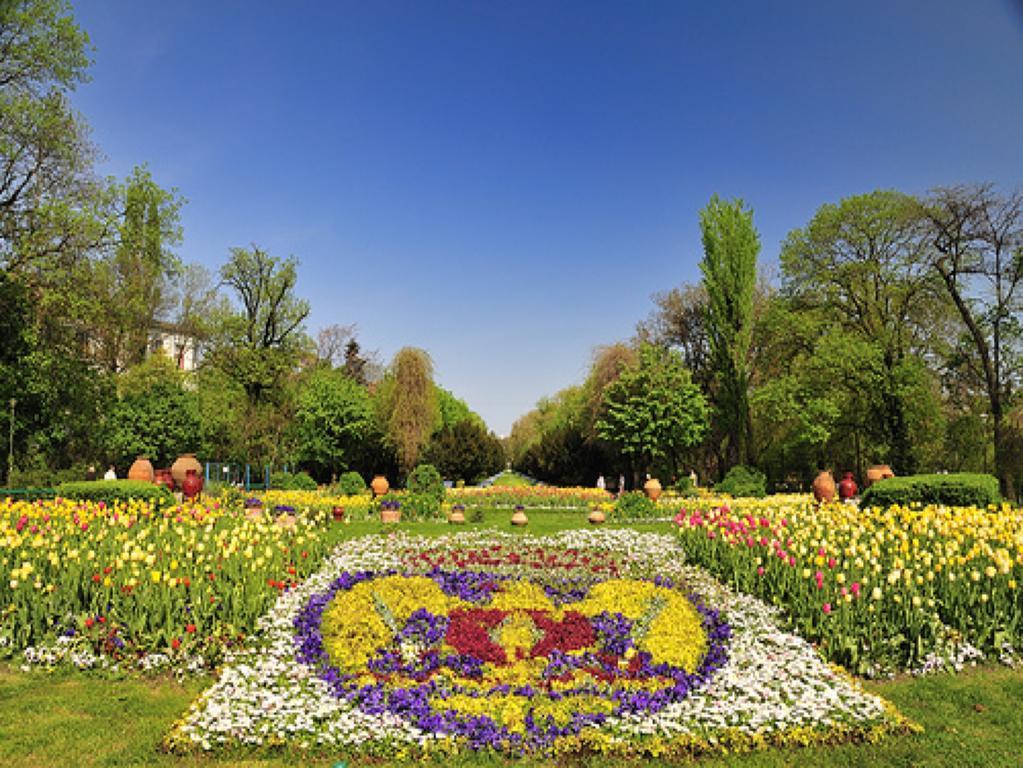Apartment Cismigiu Park Bucharest